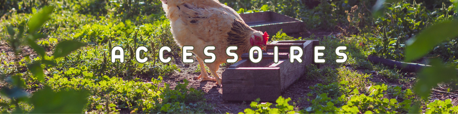 accessoires basse cours