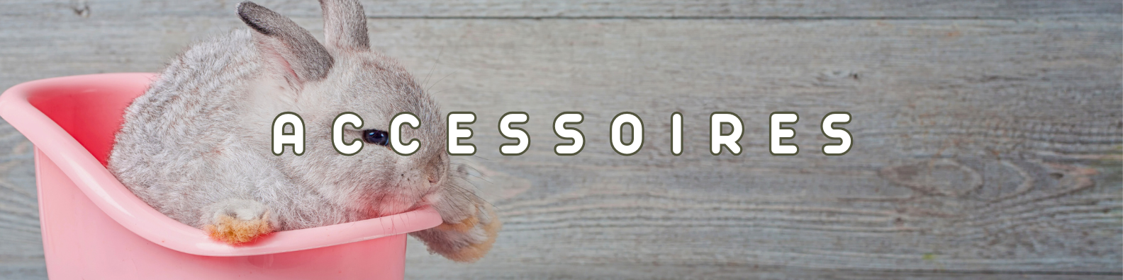 accessoires rongeurs