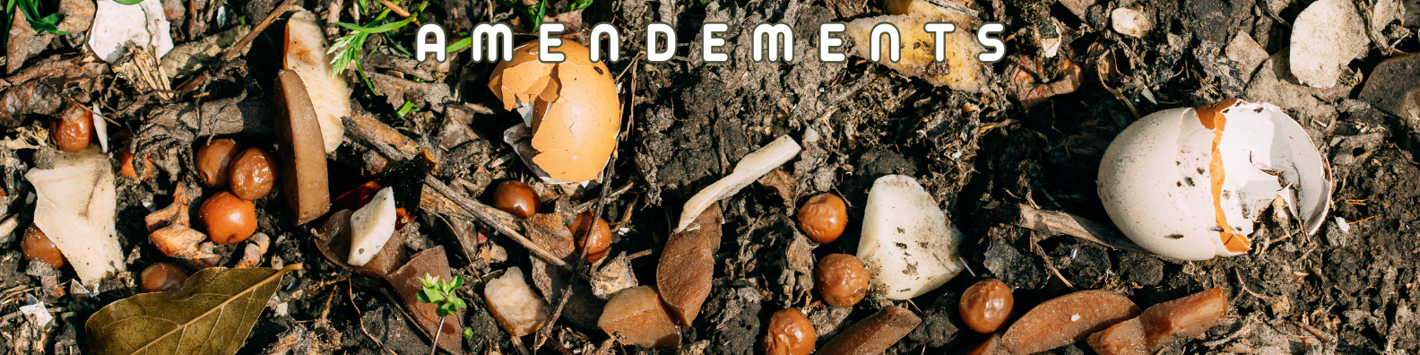 amendements
