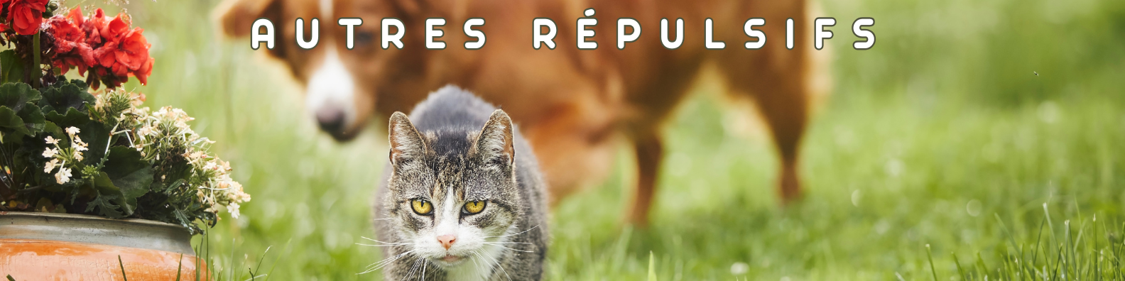 autres répulsifs