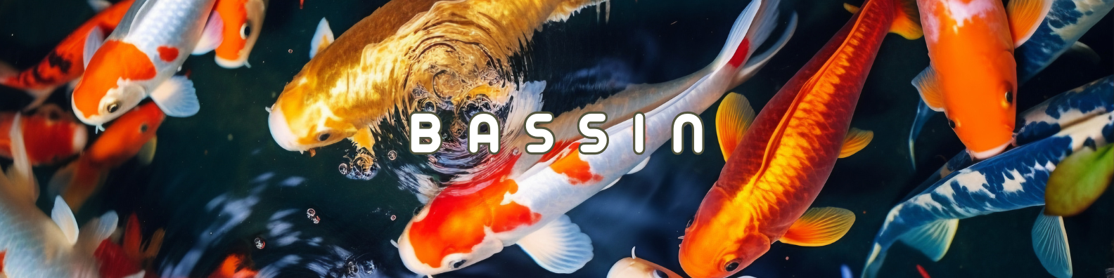 bassin