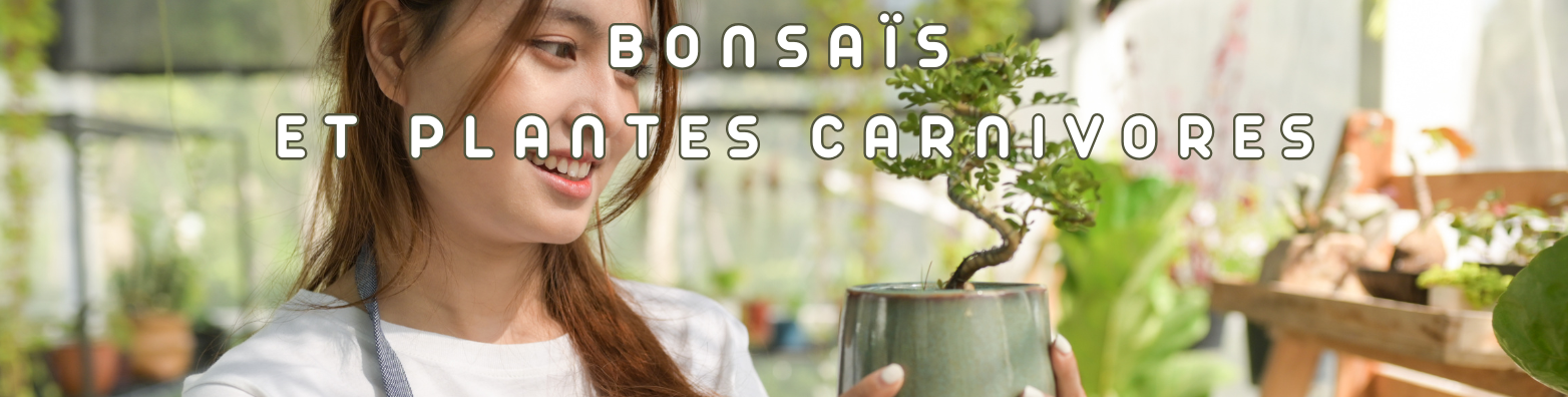 bonsais et plantes carnivores