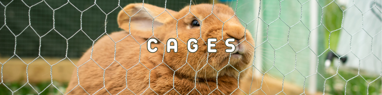 cages rongeurs