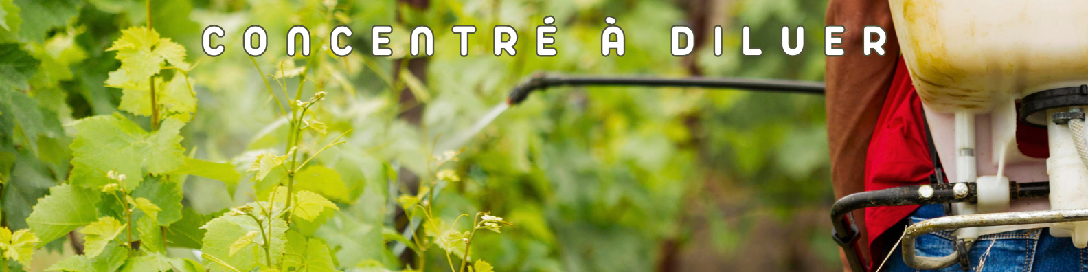 désherbant concentré à diluer
