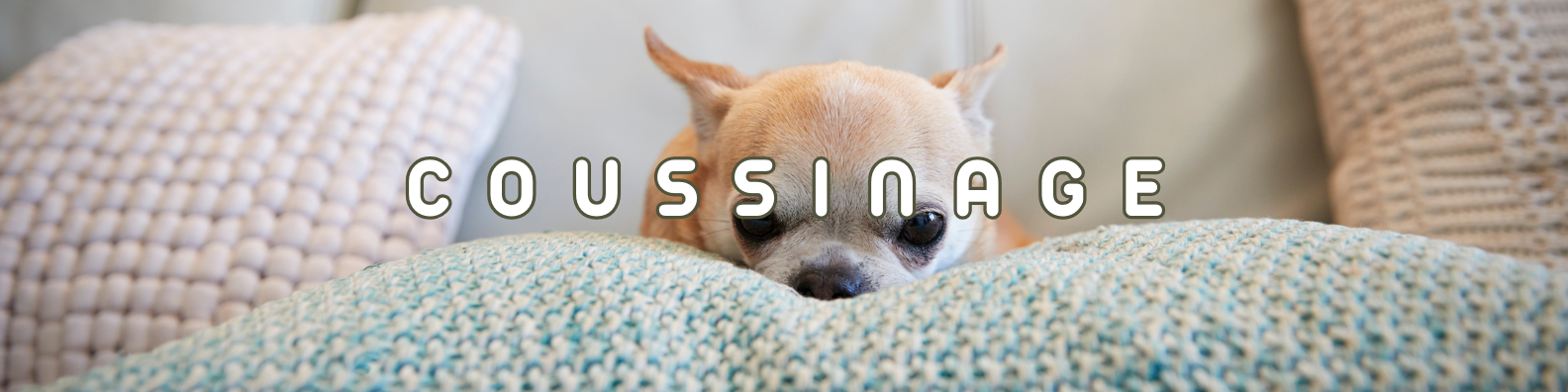 coussinage chiens