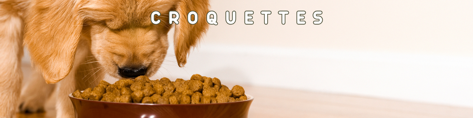 croquettes chiens