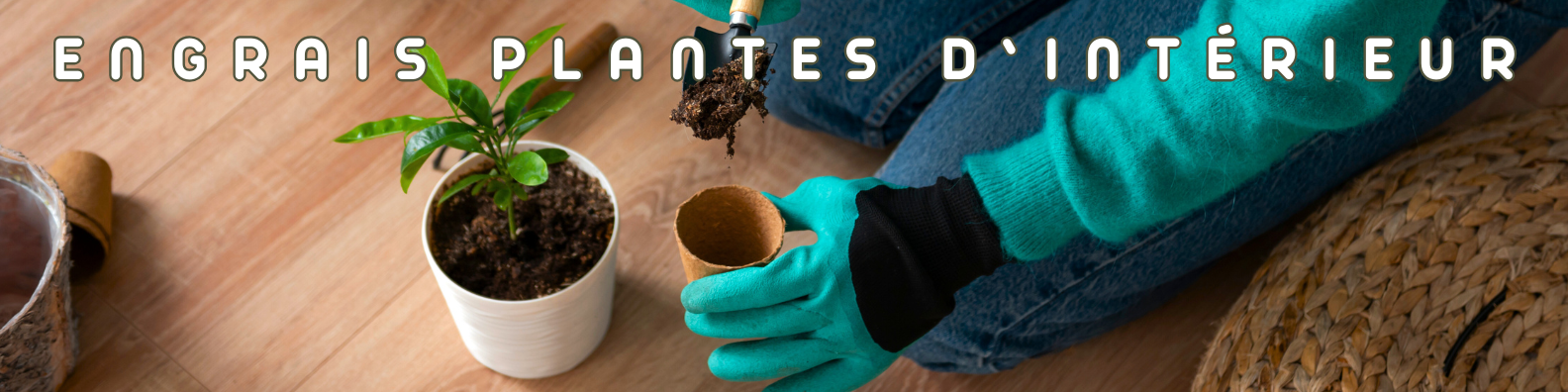 engrais plantes d'intérieur
