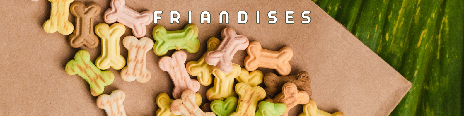 friandises chiens