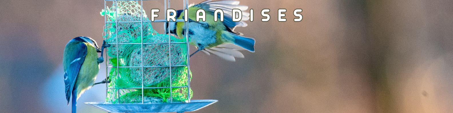 friandises oiseaux de la nature