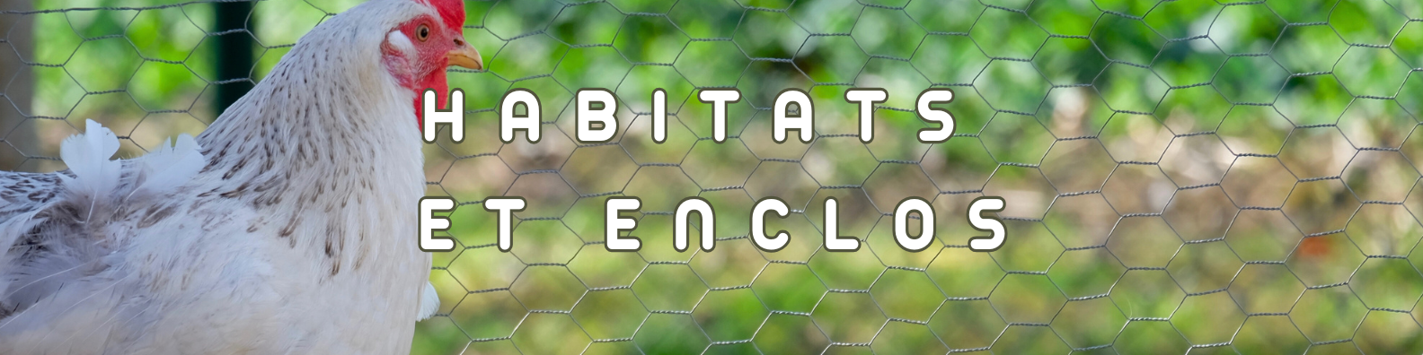 enclos habitat basse-cours