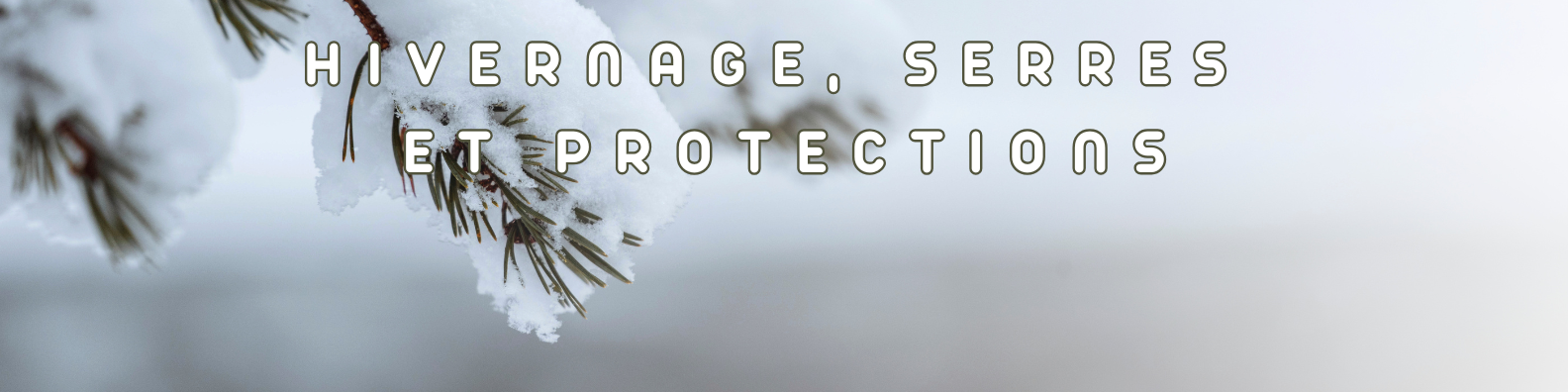 hivernage, serres et protections