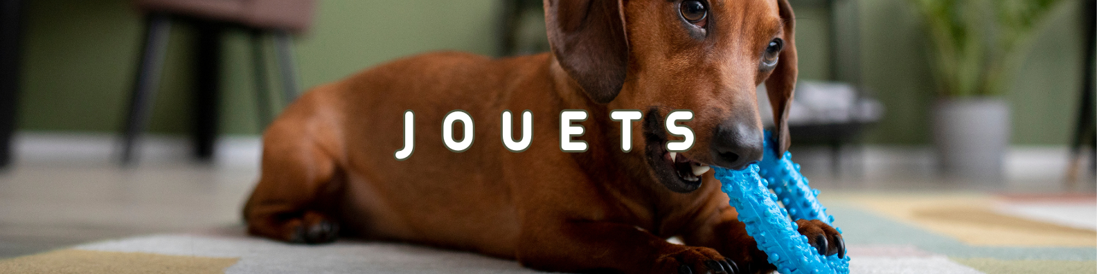 jouets chiens