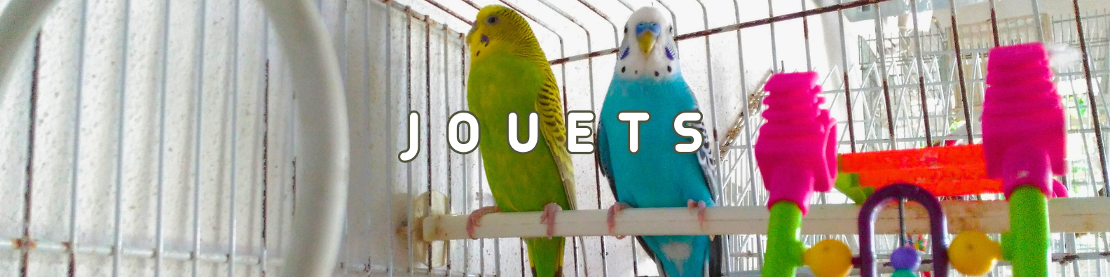 jouets oiseaux