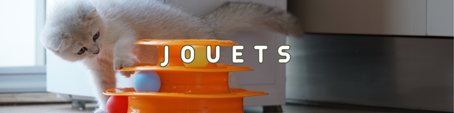 jouets chats