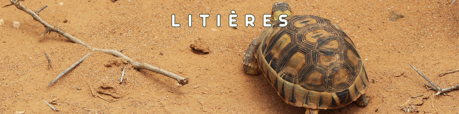 litières reptiles et tortues