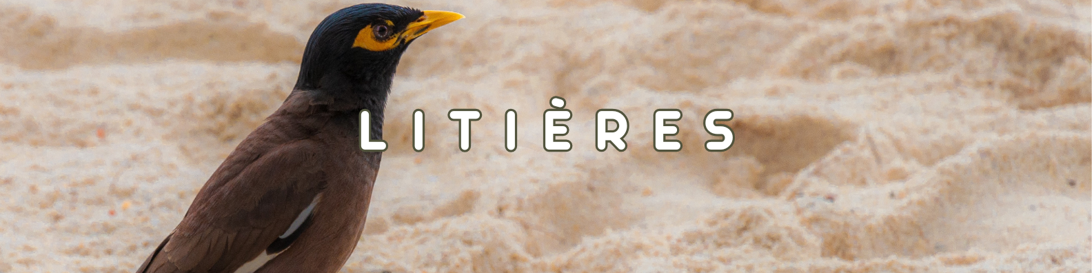 litières oiseaux