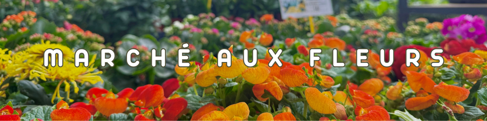 marché aux fleurs