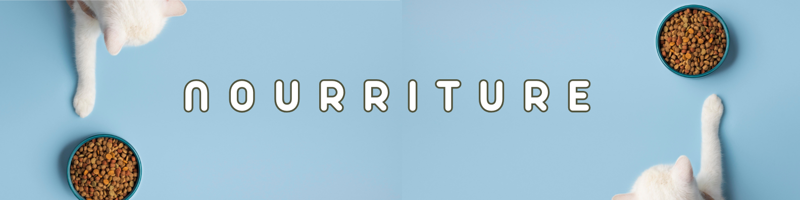 nourriture chats