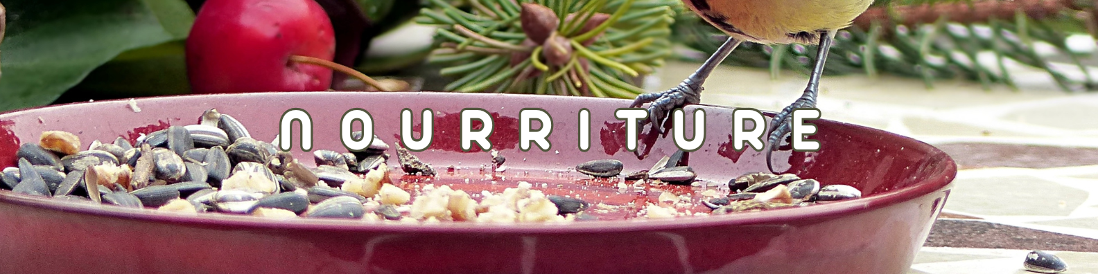 nourriture oiseaux
