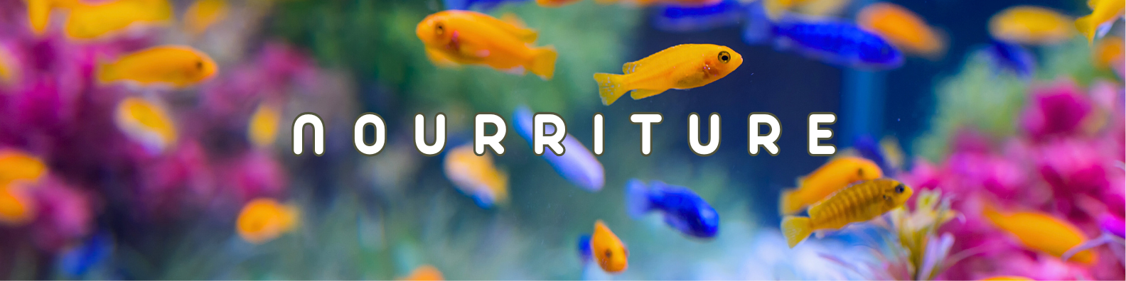 nourriture poissons