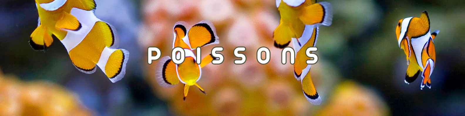 poissons