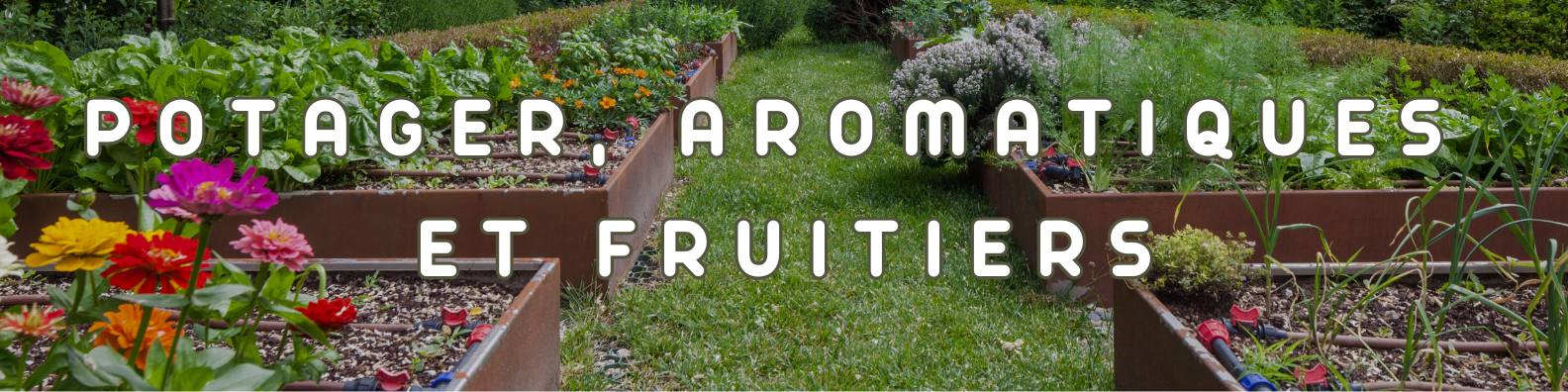 potager aromatique fruitier agrumes