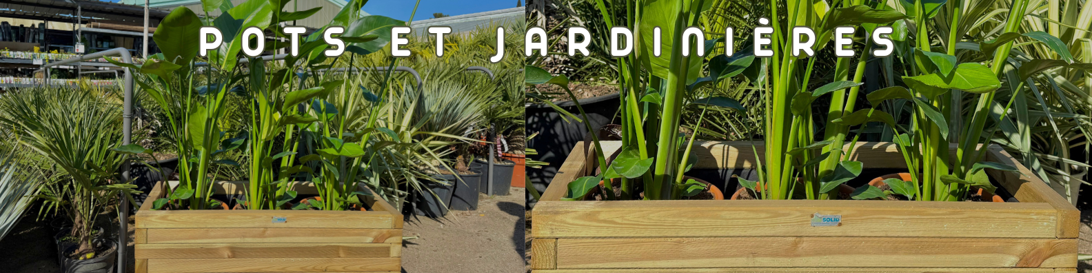 pots et jardinieres bois