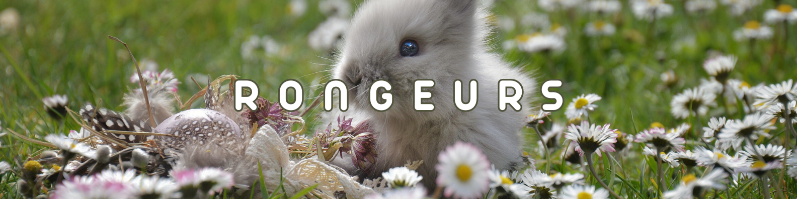 rongeurs