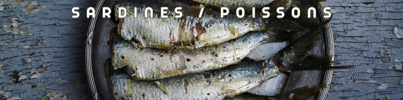 sardines et poissons