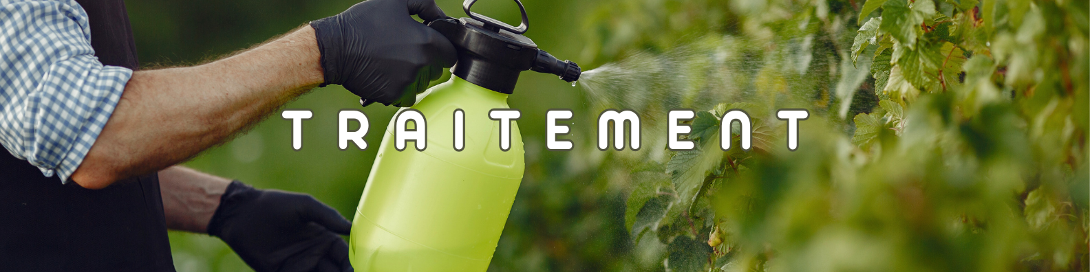 Traitements plantes