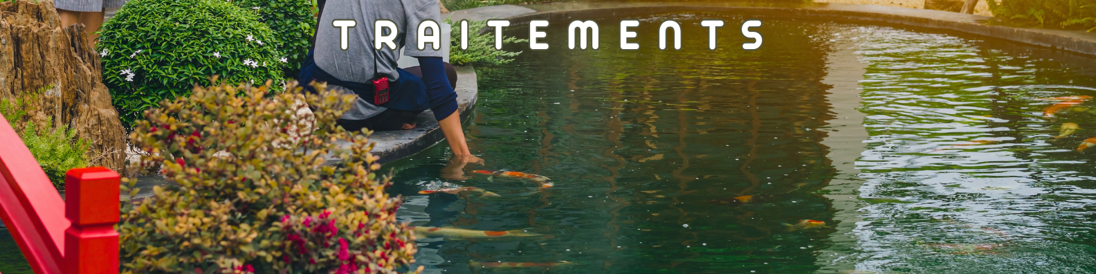 traitements bassin